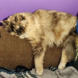 Meet your Posher, Michele